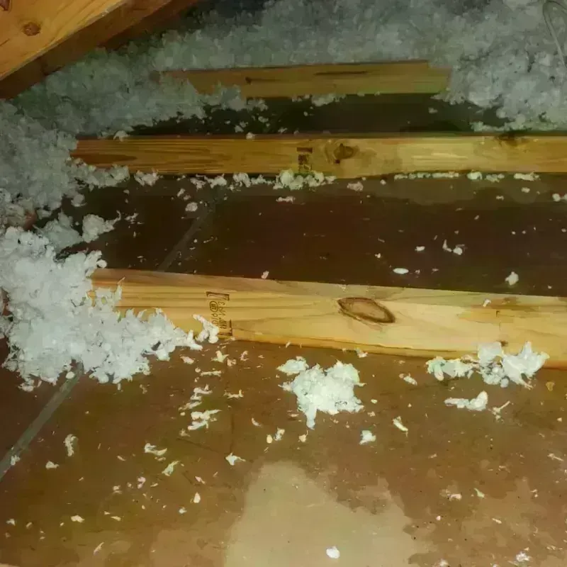 Attic Water Damage in Otoe County, NE